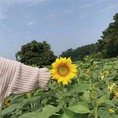 画画游戏3d(暂未上线)v1.0.8 安卓版